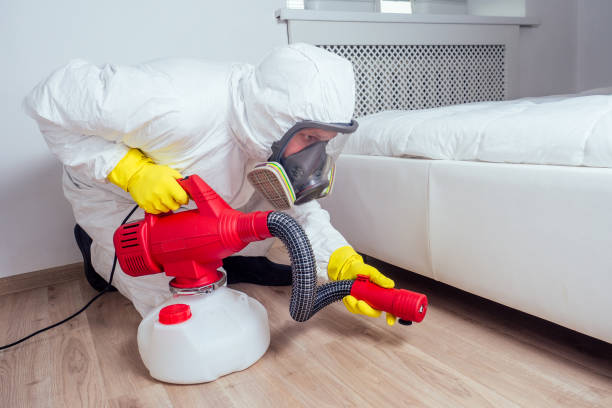 Best Local Pest Control Services  in La Puente, CA